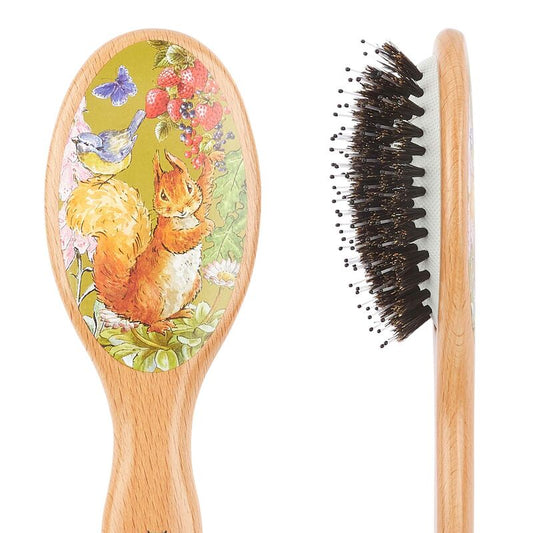 KENT x Squirrel Nutkin™ Small Bristle Nylon Mix Hairbrush ขนหมูป่า ผสมไนลอน (Peter Rabbit)